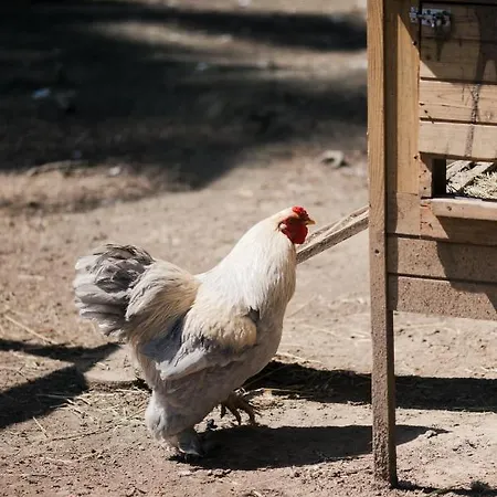 Feriegård Ma Che Bel Castello