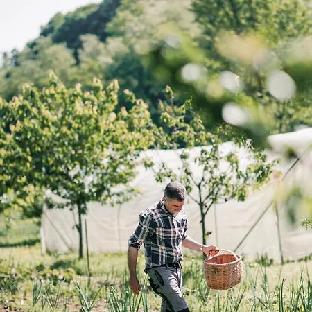 Ma Che Bel Castello Feriegård