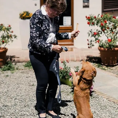 Ma Che Bel Castello Mombaruzzo