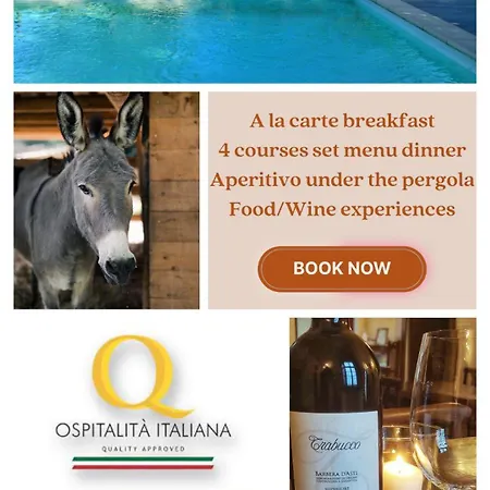 Ma Che Bel Castello * Mombaruzzo