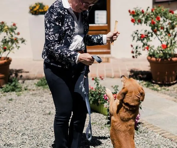 Ma Che Bel Castello Mombaruzzo